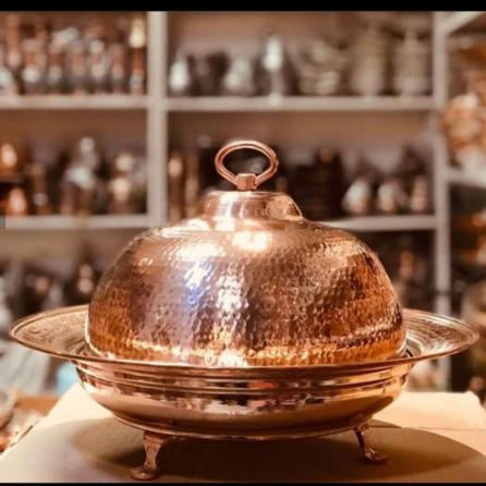 مرغ خوری گرد سفینه ای